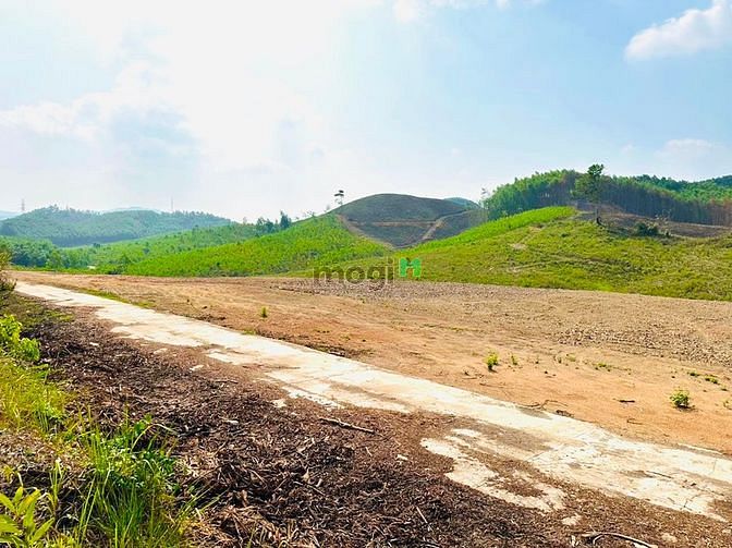 Hình ảnh Hơn 530m2 đất Khánh Nam chỉ 250tr