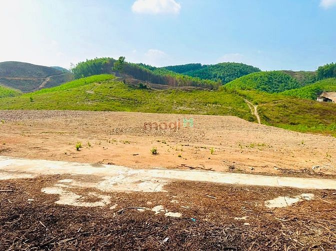 Hình ảnh Hơn 530m2 đất Khánh Nam chỉ 250tr