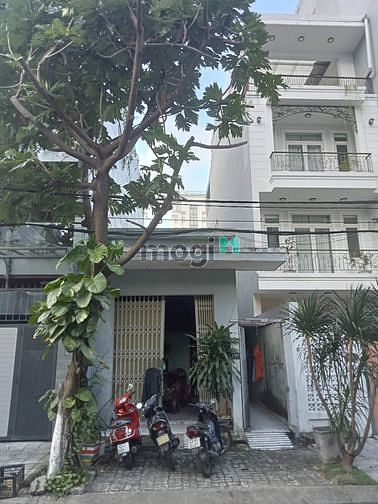 Hình ảnh Cho thuê nhà , Sơn Trà , Đà Nẵng