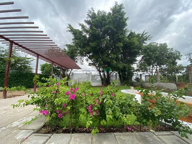 Hình ảnh Đất vườn 750m2 mặt tiền đường Gò Cát, P.Phú Hữu, phù hợp trồng trọt/KD