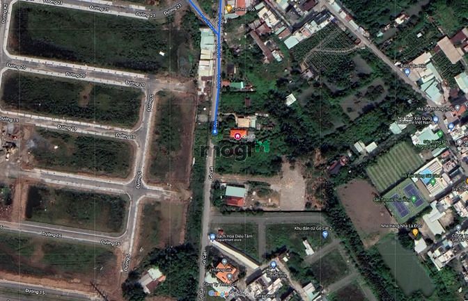 Hình ảnh Đất vườn 750m2 mặt tiền đường Gò Cát, P.Phú Hữu, phù hợp trồng trọt/KD