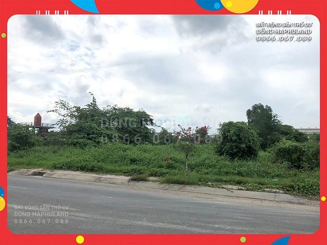 Hình ảnh Q12. 2X triệu/m2. 1100m2 đất MẶT TIỀN, ngang 29M, gần trg CĐ Điện Lực.