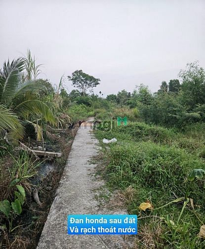 Hình ảnh Chính chủ bán đất ở Phường 5, TP TÂN AN, LONG AN giá Trang MB66.COM Chính Thức - MB 66 Uy Tín