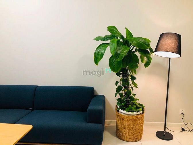 Hình ảnh Cho thuê Trang Chủ MB66.COM / Đăng Ký Tặng 66K chung cư Masteri An Phú, Quận 2
