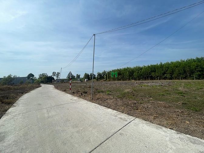 Hình ảnh Bán lô đã có sổ hồng cách QL55 chỉ 1km. Ngay mặt tiền đường 997