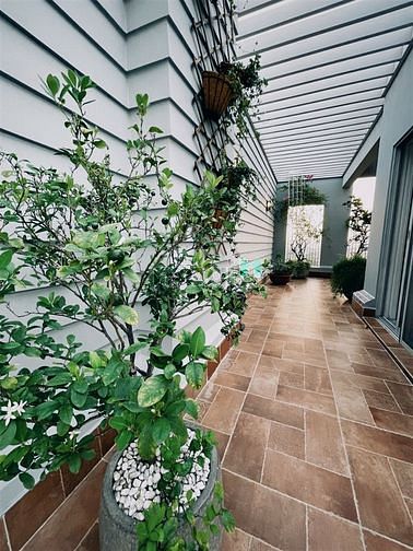 Hình ảnh Bán Penhouse rộng 242 m2 Phú Mỹ Hưng Quận 7