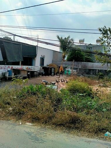 Hình ảnh Cần bán lô đất gần Chợ Hóc Môn, sổ hồng riêng