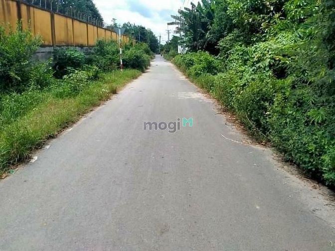 Hình ảnh Cần bán lô đất gần Chợ Hóc Môn, sổ hồng riêng