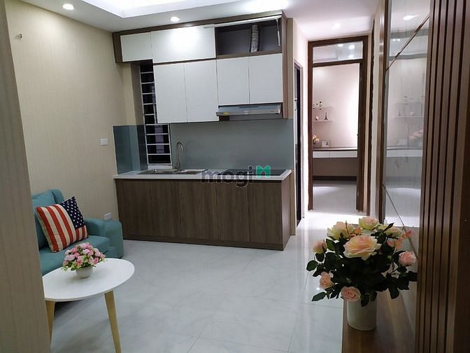 Hình ảnh chính chủ lại ccmn võ chí công 48m đã có sổ hông full nội thất