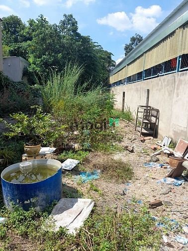 Hình ảnh Hoa hồng 1% - cần bán 220m2 đất full thổ - đường Hoàng Diệu 2, Thủ Đức