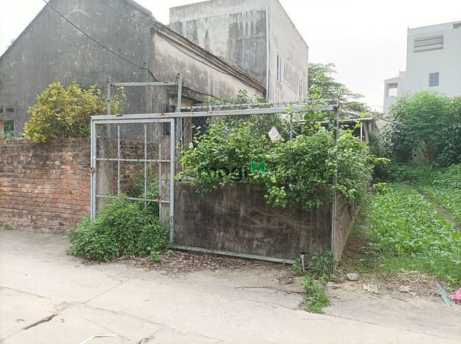 Hình ảnh Bán đất bìa làng Vân Nội, Đông Anh. DT 63m², MT 4m. Giá: 3.3 tỷ