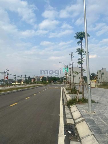 Hình ảnh Bán đất đấu giá Vân Hà, Đông Anh. DT 133m2, MT 6m