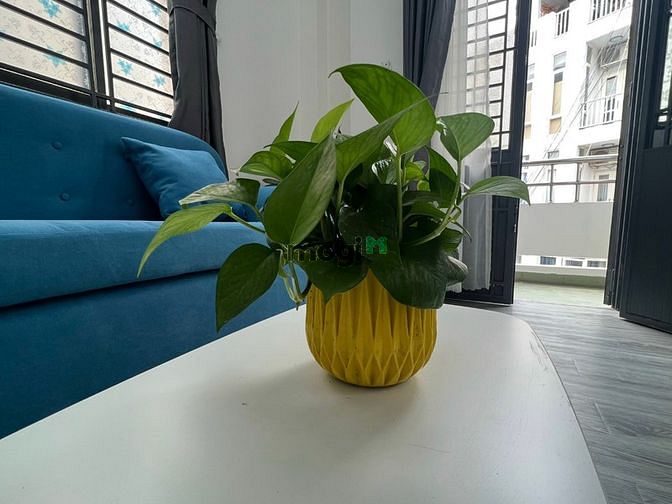 Hình ảnh ✅Mb6623 nạp rút nhanh chóng Cao Cấp 1 Phòng Ngủ_Ban công_River view_Hoàng sa_Quận 1✅