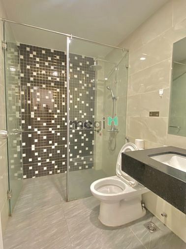 Hình ảnh Cho thuê nhà 195/11 Điện Biên Phủ,p15, Bình Thạnh