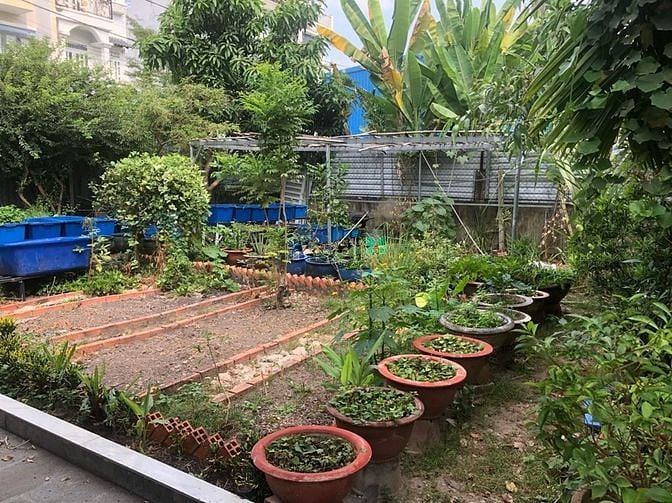 Hình ảnh Cho thuê biệt thự Vườn Lài, APĐ Q12