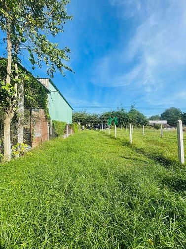 Hình ảnh 400m quy hoạch dân cư đường nhựa giá hấp dẫn