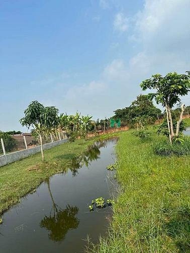 Hình ảnh Chủ bán lô đất vườn sổ hồng riêng xã Trung Lập Thượng