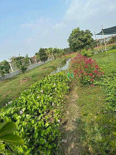Hình ảnh Chủ bán lô đất vườn sổ hồng riêng xã Trung Lập Thượng