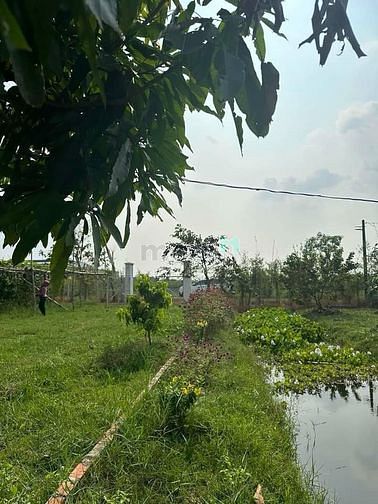 Hình ảnh Chủ bán lô đất vườn sổ hồng riêng xã Trung Lập Thượng