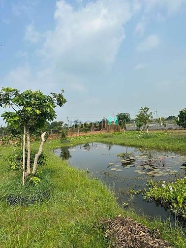 Hình ảnh Chủ bán lô đất vườn sổ hồng riêng xã Trung Lập Thượng