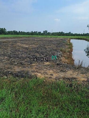 Hình ảnh Chủ gửi lô đất sổ hồng riêng giá rẻ Xã Phú Hoà Đông