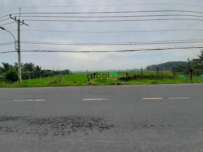 Hình ảnh Bán đất mặt tiền đường Trung Lập, Xã Trung Lập Thượng, Huyện Củ Chi