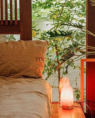 Hình ảnh 🔴Nhà nguyên căn 3 lầu_Full Nội Thất_Phan Đăng Lưu