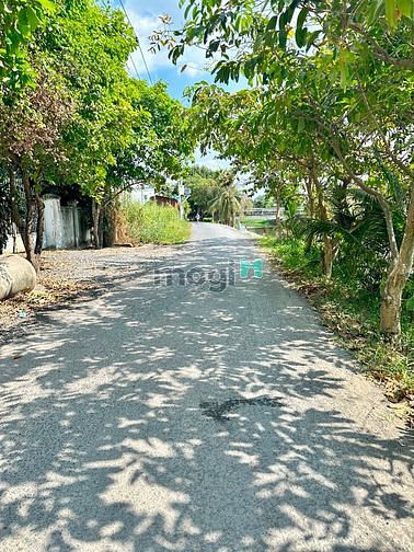 Hình ảnh Đất Bình Mỹ cách 5km, 1sẹt đường Bình Mỹ