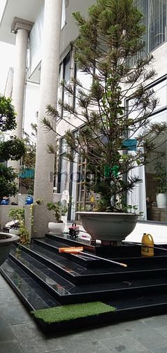 Hình ảnh Biệt thự , văn phòng kinh doanh 700m2, cách Q.Gò Vấp 300m