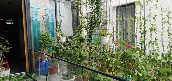Hình ảnh Biệt thự , văn phòng kinh doanh 700m2, cách Q.Gò Vấp 300m