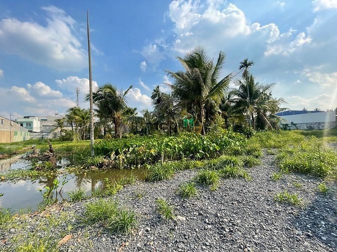 Hình ảnh Bán 11.000m2 đất Thạnh Xuân-Hà Huy Giáp, dự án chung cư 25 tầng, 690tỷ