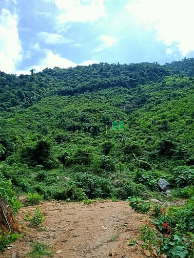 Hình ảnh Bán 9.5HA đất rẫy tại xã Hòa Bắc, Đà Nẵng, 4.9 tỷ TL