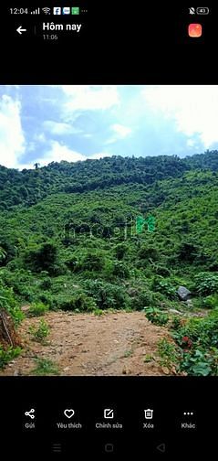 Hình ảnh Bán 9.5HA đất rẫy tại xã Hòa Bắc, Đà Nẵng, 4.9 tỷ TL