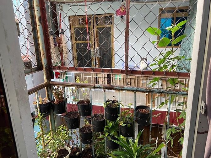 Hình ảnh 😍😍Bán nhà Đặng Chất Q.8 - KHÔNG QUY HOẠCH - 25m2 - 2tỷ200