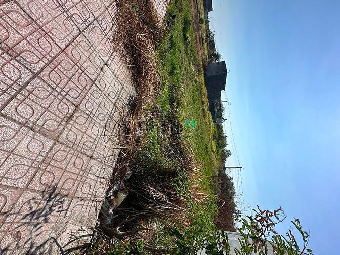 Hình ảnh SHR chính chủ 100m2 cần bán gấp 999tr