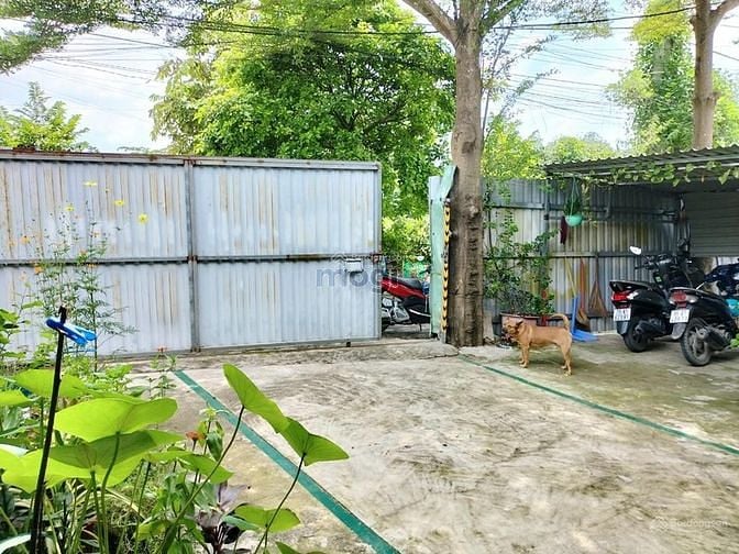 Hình ảnh Cho thuê kho xưởng bên quận 9 cũ
