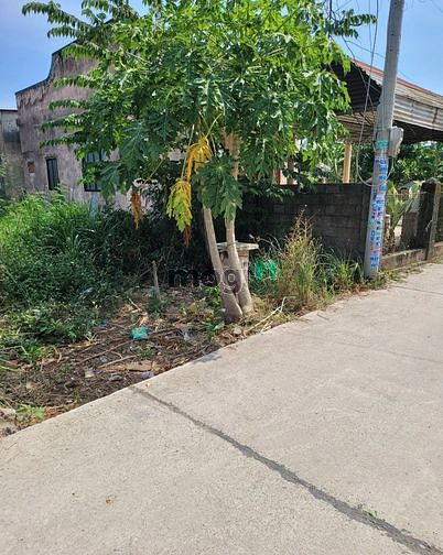 Hình ảnh Chính Chủ CẦN BÁN Gấp Tại Thị trấn Đất Đỏ, Huyện Đất Đỏ