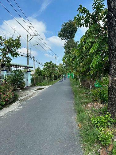 Hình ảnh Đất thổ vườn mặt tiền đường nhựa, sau lưng chợ trung lập hạ