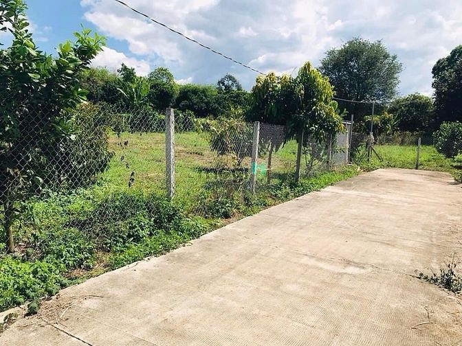 Hình ảnh Đất vườn 24OOm2 Thị xã CHƠN THÀNH, sổ hồng riêng