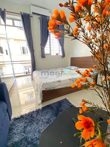 Hình ảnh Cho thuê Trang Chủ MB66.COM / Đăng Ký Tặng 66K Studio có ban công full nội thất quận Tân Bình