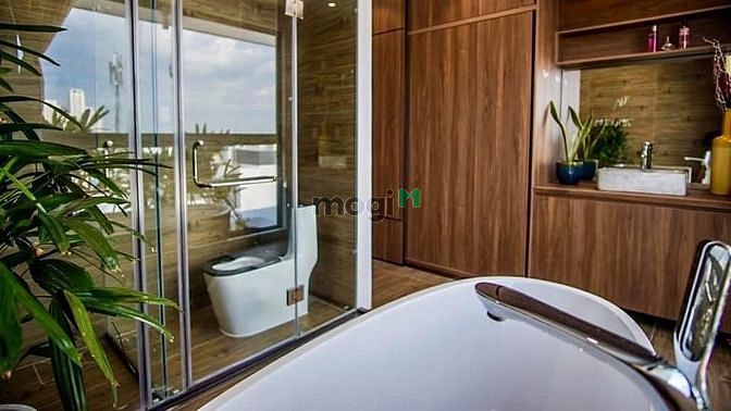 Hình ảnh Căn Penthouse 1PN rộng hơn 100m2 _ Siêu Sang _ Nguyễn Thị Định Quận 2