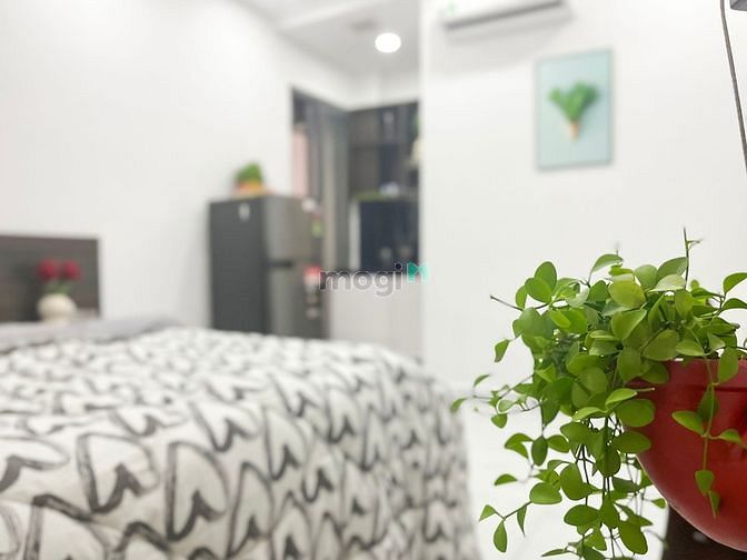 Hình ảnh Studio Bùi Hữu Nghĩa - B.Thạnh🍀bancon giếng trời thoáng khí