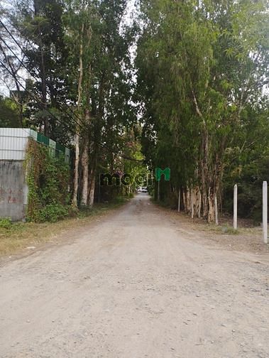 Hình ảnh Đất Thổ Cư 50x26m Kênh Song Hành Nguyễn Văn Bứa Hóc Môn 22tr/m2