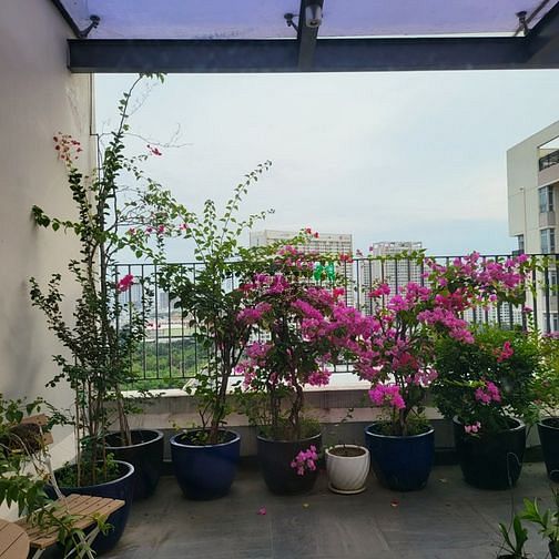 Hình ảnh Chuyên Bán, Cho Thuê CĂN HỘ STAR HILL Q7 (CĐT PHÚ MỸ HƯNG)