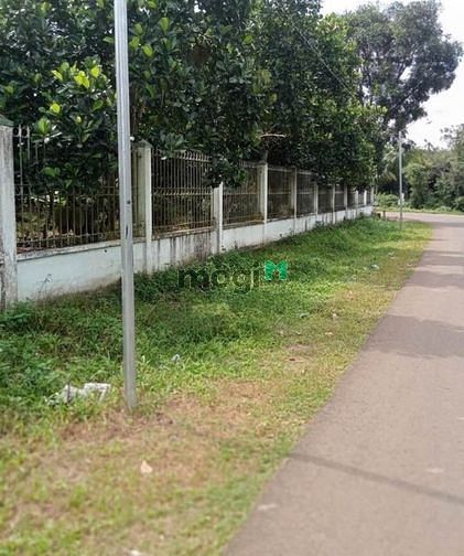 Hình ảnh Đất vườn 1OOOm2, SỔ HỒNG RIÊNG, đường nhựa trước đất