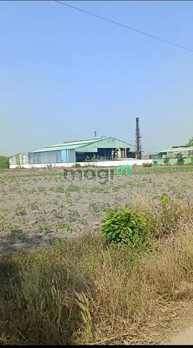 Hình ảnh Cần đăng bán miếng đất trục chính QL 14 ,Chơn Thành , Bình Phước