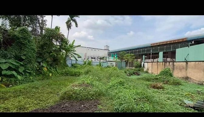 Hình ảnh Bán gấp 702m2 đất HXH full thổ, xây dựng 7 tầng, Đặng Văn Bi Thủ Đức.
