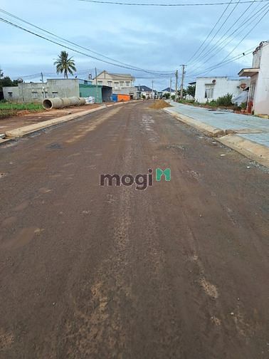 Hình ảnh Đất Cây lâu năm , Núi rchai,  Lâm đồng