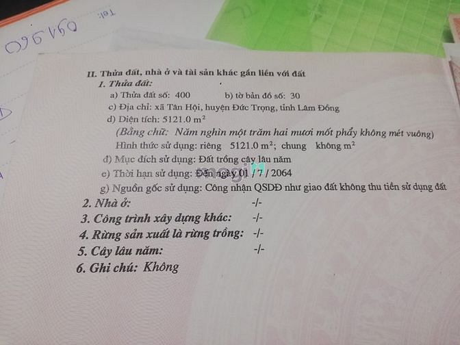 Hình ảnh Đất Cây lâu năm , Núi rchai,  Lâm đồng