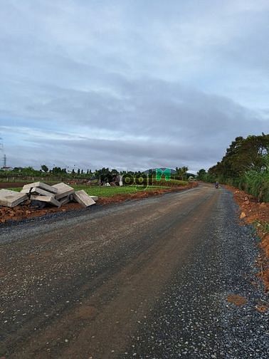 Hình ảnh Đất Cây lâu năm , Núi rchai,  Lâm đồng